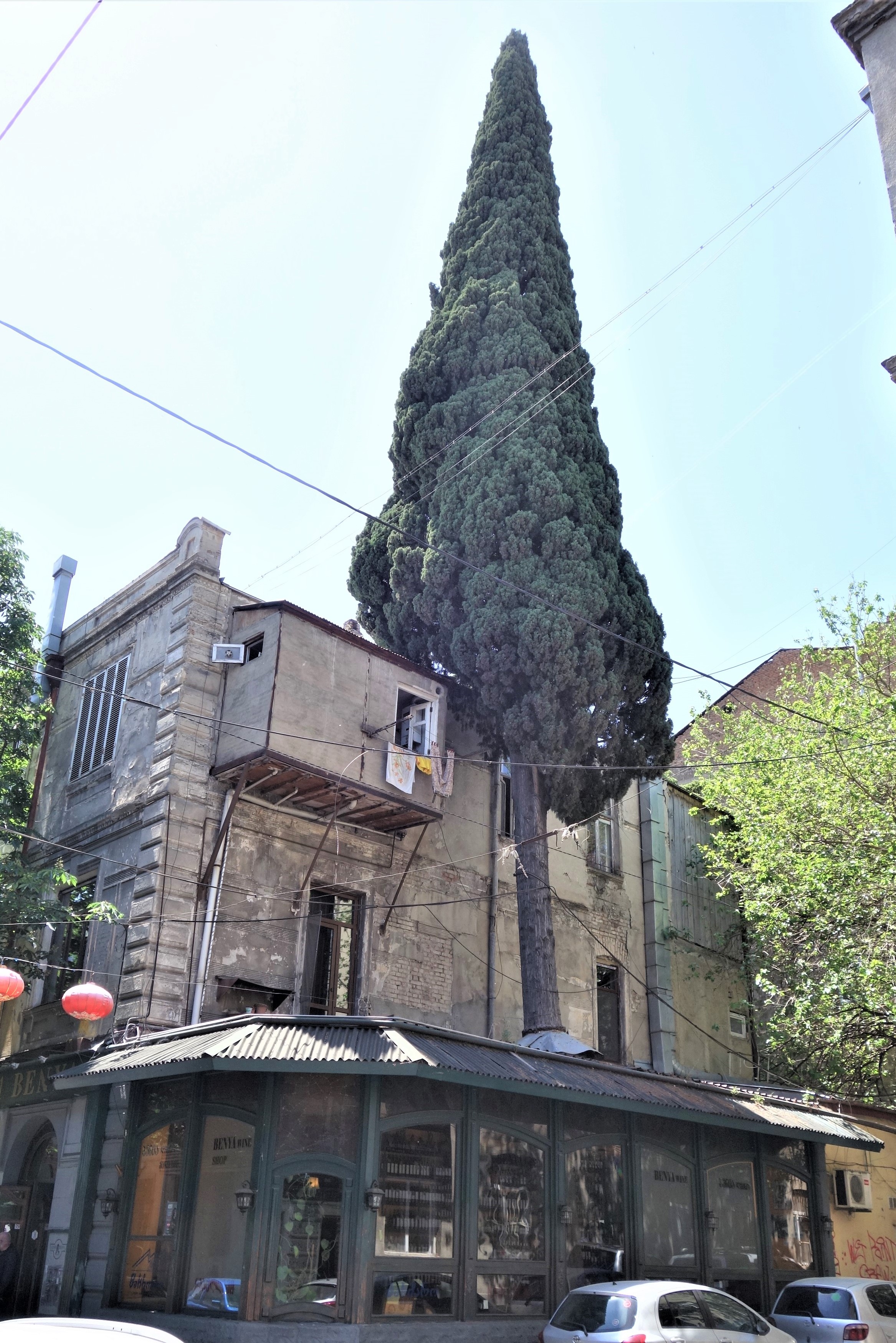 Georgia